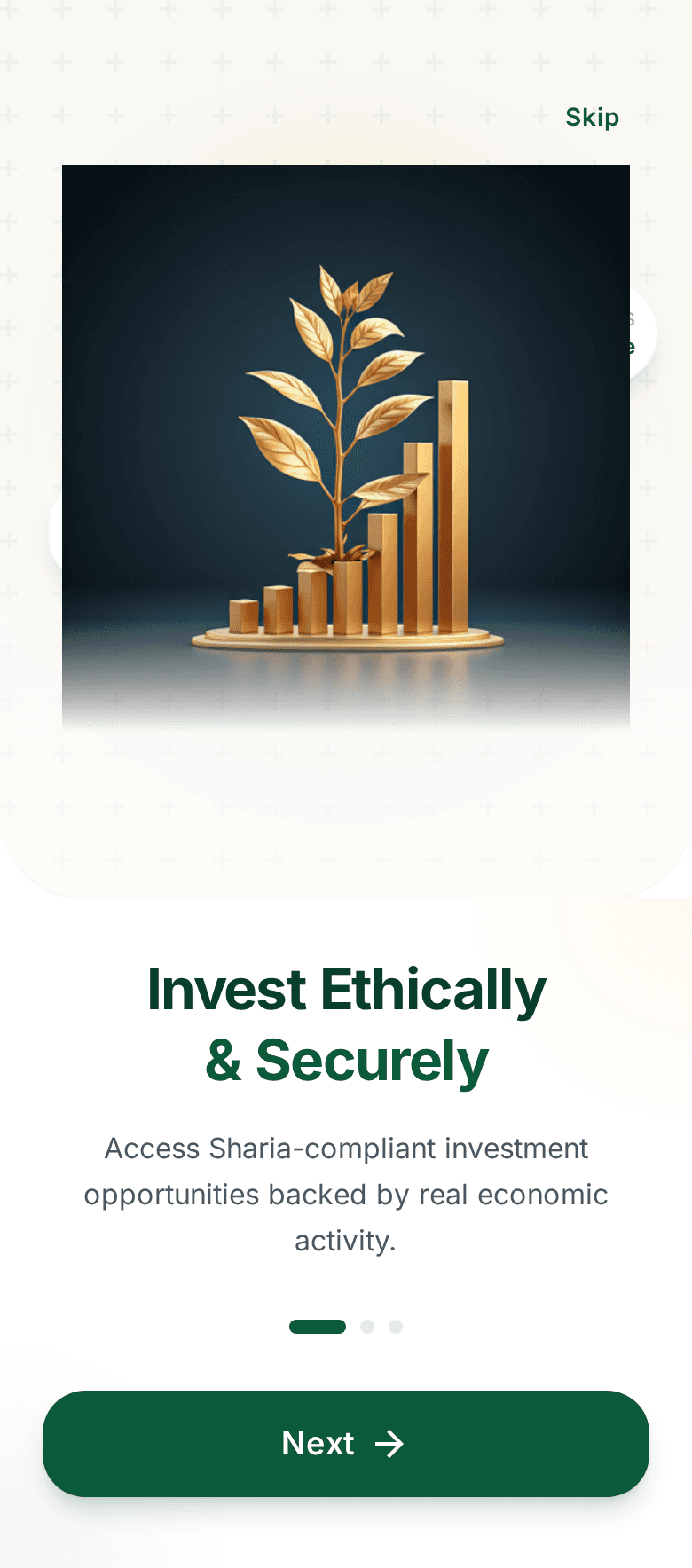 ZARI dashboard with account and investment overview